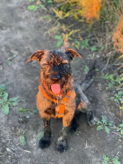 Die unbequemsten und lustigsten Schlafpositionen-Beitrag-Bild