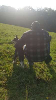 Hundeauslaufgebiet-Huskywiese bei den Tannen-Bild