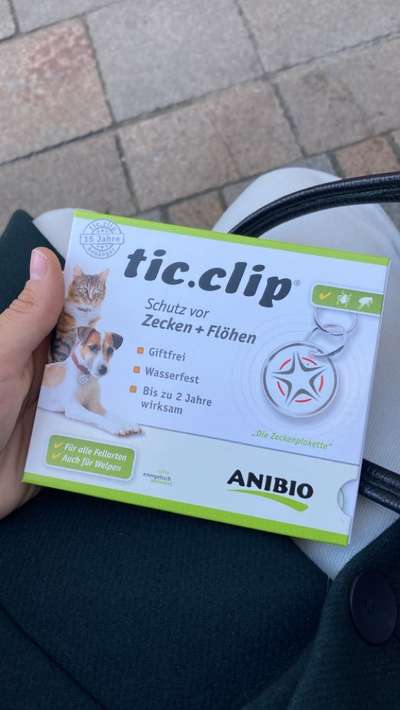 Tabletten oder spot on-Beitrag-Bild