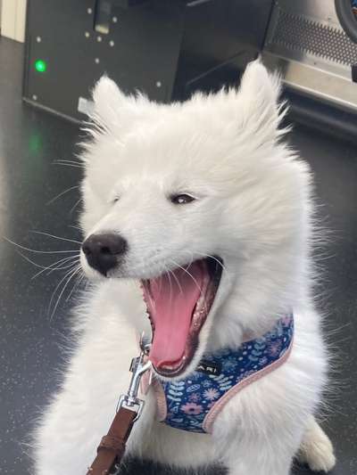 Lieblingsbild-Beitrag-Bild