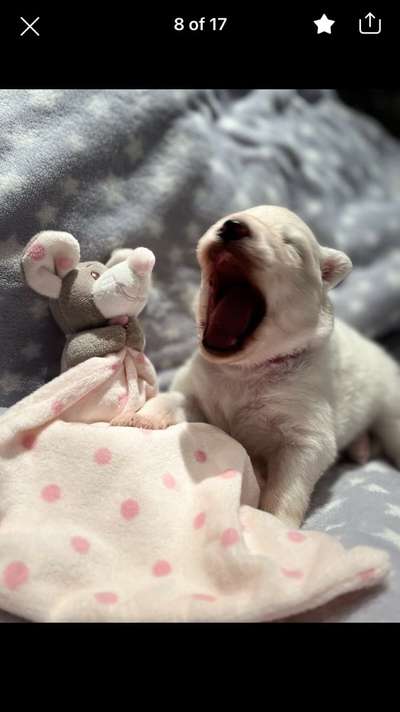 Sie werden so schnell groß!-Beitrag-Bild