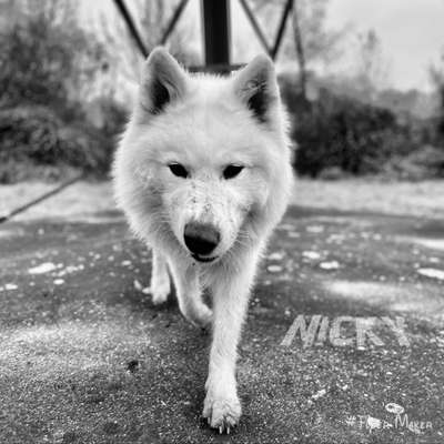 Fotochallange Nr. 6 Die irrsten Blicke-Beitrag-Bild