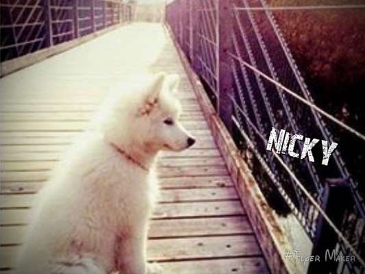 Foto Challenge 3-Beitrag-Bild