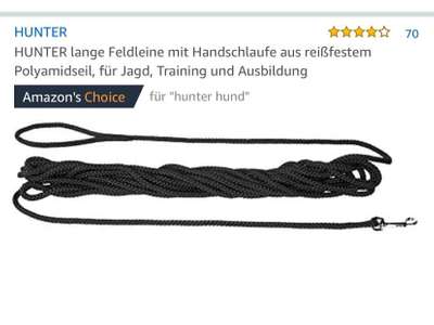 Wandern/Trekking mit Hund-Beitrag-Bild