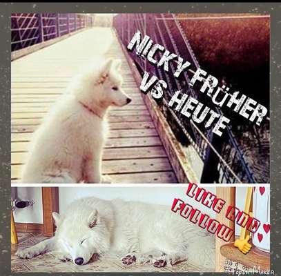 Vorher.... Nachher-Beitrag-Bild