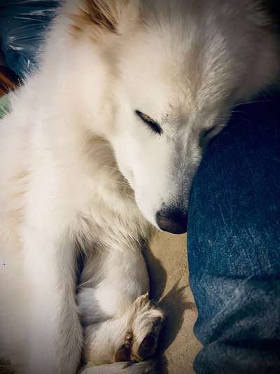 Die unbequemsten und lustigsten Schlafpositionen-Beitrag-Bild