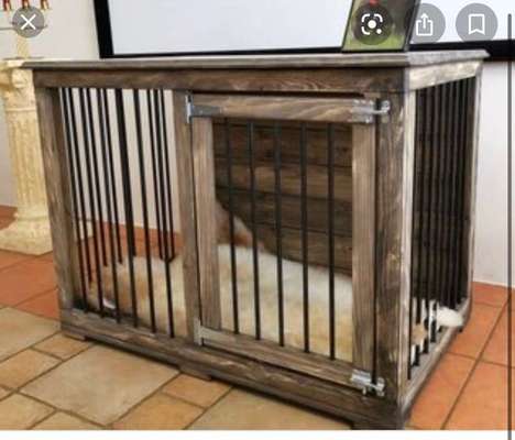 Kennel, ja oder nein?-Beitrag-Bild