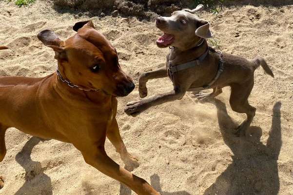 Lustige Grimassen & verrückte Posen-Beitrag-Bild