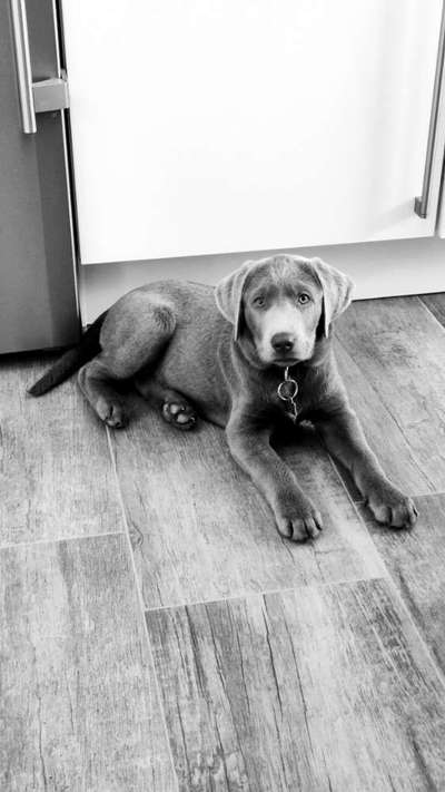 Foto-Challenge 76: Foto in Schwarz-Weiss-Beitrag-Bild