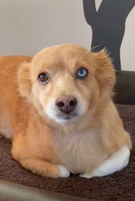 Fotochallange Nr. 57     PORTRÄT.   Beendet!!!!!!!!-Beitrag-Bild