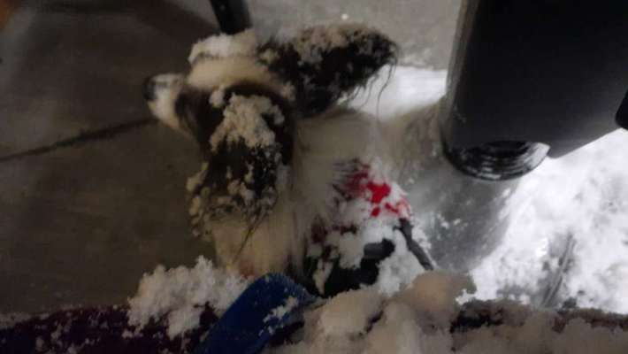 CHALLENGE NR. 18 - ON TOUR-Beitrag-Bild