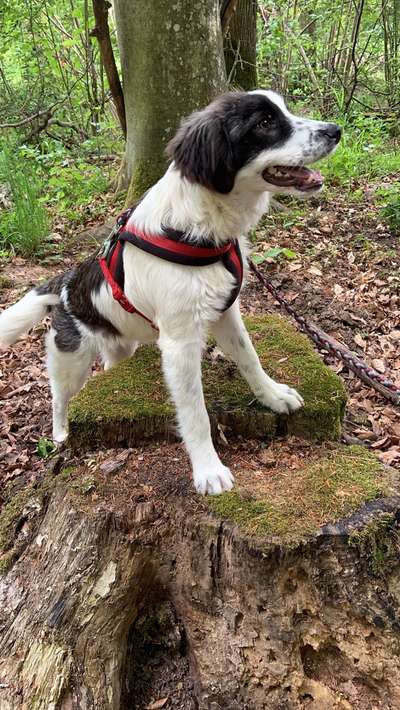 Sie werden so schnell erwachsen ...-Beitrag-Bild