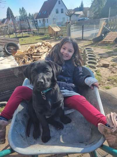 Postet das beste Foto von euren 4 beinern-Beitrag-Bild