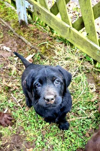 Fotochallenge Nr. 67: Euer Lieblingsbild-Beitrag-Bild