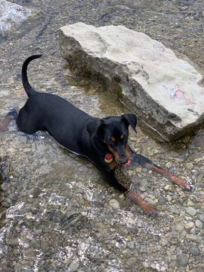 Dogorama-Monats-Challenge-Mai "Wasser"-Beitrag-Bild