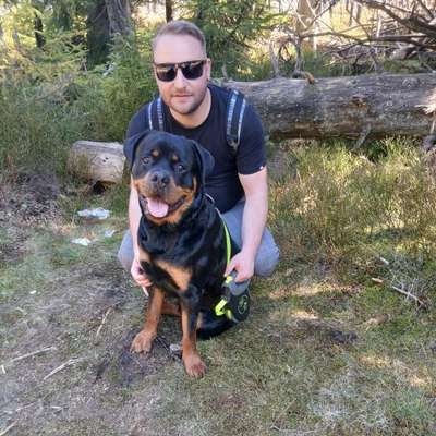 Hundetreffen-Spiel und Gassirunden