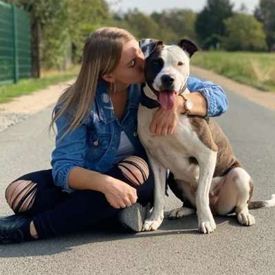 Hundetreffen-Gassi gehen-Profilbild