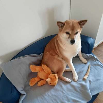 Karin's Profilbild