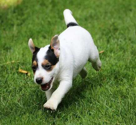 Lieblingsbild-Beitrag-Bild