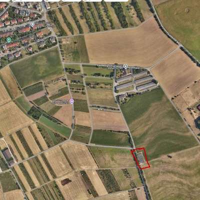 Giftköder-Giftköder-Bild