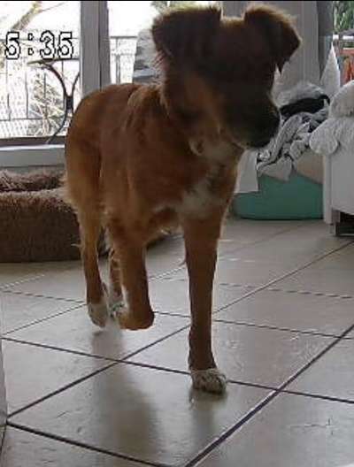 Fotochallange 84-Beitrag-Bild