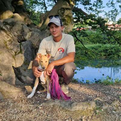 Hundetreffen-Welpen