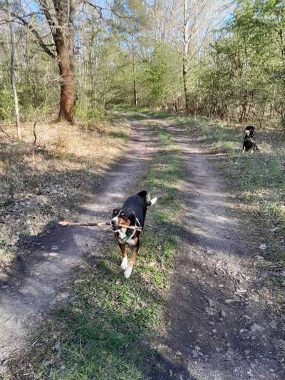 Foto-Challenge Nr. 90: Lebensfreude-Beitrag-Bild