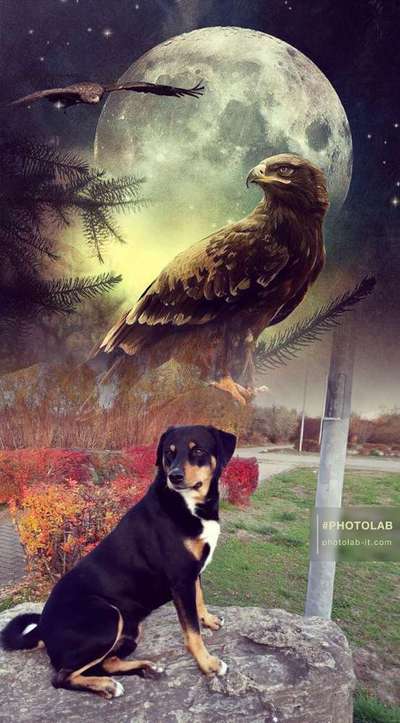 57. Handy Foto Challenge - klettern-Beitrag-Bild