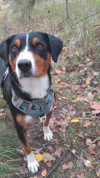 Doppelgänger gesucht !-Beitrag-Bild