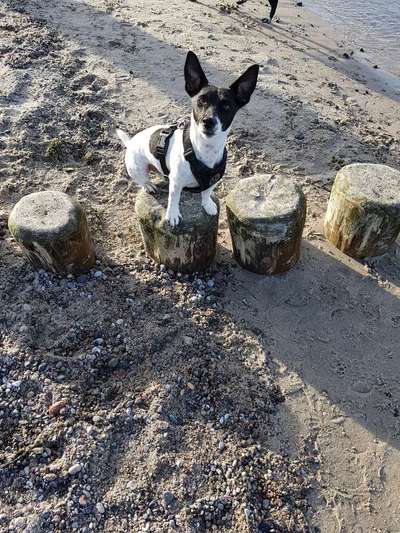 20. Handy -Foto-Callenge-Beitrag-Bild