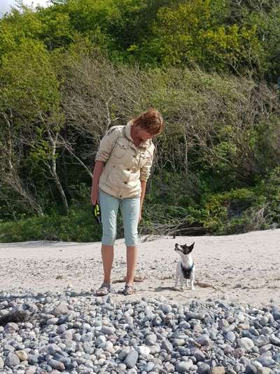 Welpen Bilder !-Beitrag-Bild