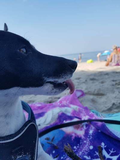 Zeigt eure Portraits-Beitrag-Bild