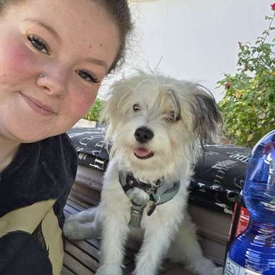 Hundetreffen-Gassi und Spielfreude-Profilbild