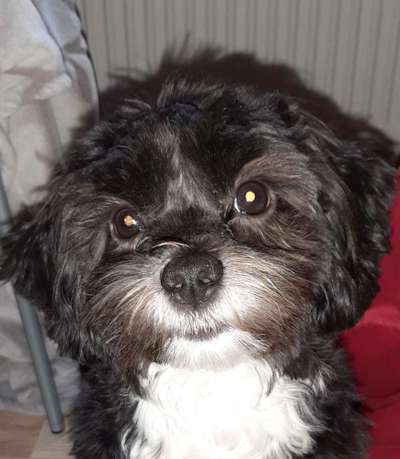 Fotochallange Nr. 57     PORTRÄT.   Beendet!!!!!!!!-Beitrag-Bild