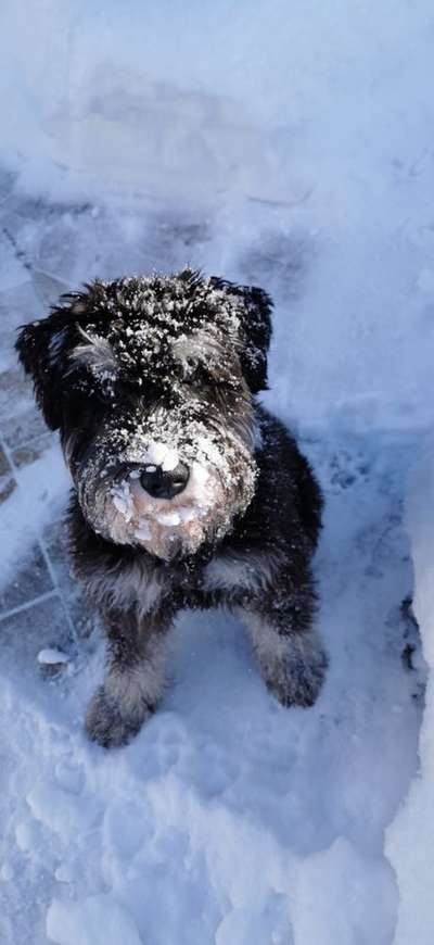 Handy-Foto-Challange Nr.9-Beitrag-Bild