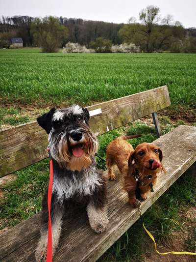 Dogorama Photo Challenge - Gegensätze-Beitrag-Bild