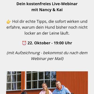 aktuelles Foto Gruppe Kostenlose Webinare, Kurse und Challenges