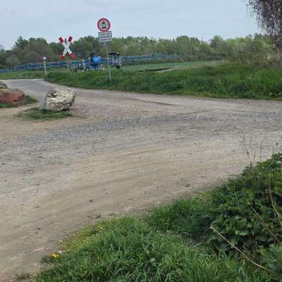 Giftköder-Gespritzes Feld-Bild