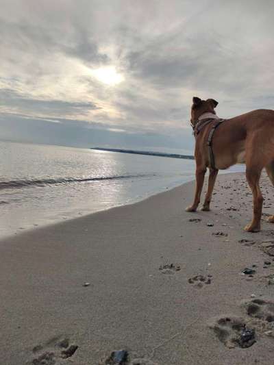 Fotowettbewerb Natur-Beitrag-Bild