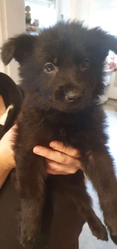 Sie werden so schnell erwachsen ...-Beitrag-Bild