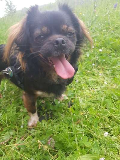 Von Ups-Würfen und der Corona Zeit-Beitrag-Bild