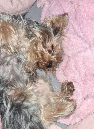 Foto Challenge Nr. 134-Beitrag-Bild