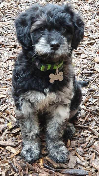 Sie werden so schnell erwachsen ...-Beitrag-Bild