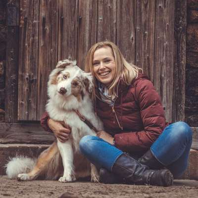 Hundetreffen-Spiel- und Trainingspartner gesucht