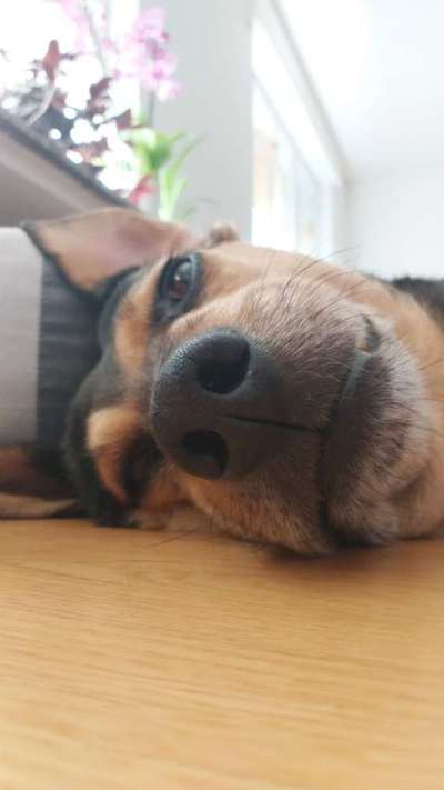 FOTO-Challenge  NR. 91: Die pure Entspannung-Beitrag-Bild