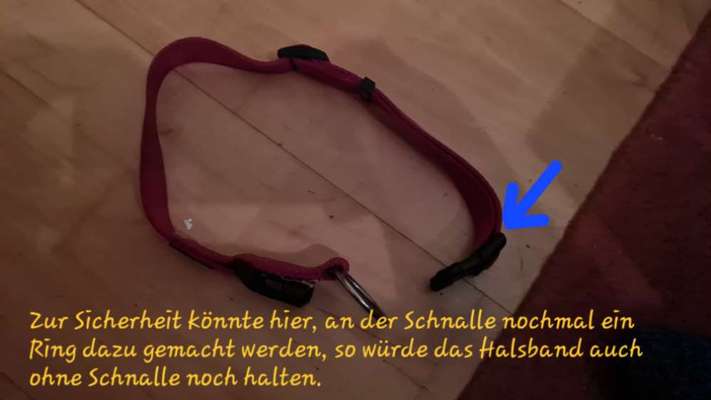 TierschutzhundeStammtisch🐕-Beitrag-Bild