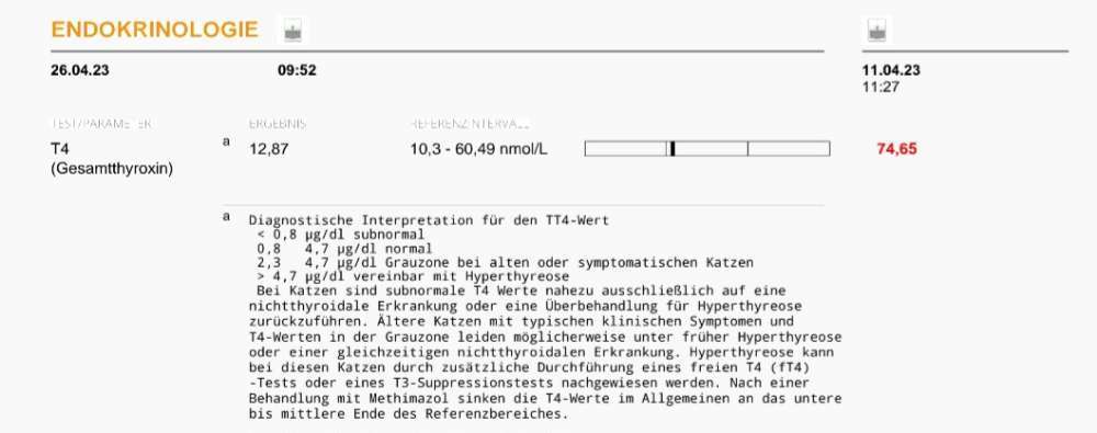 TierschutzhundeStammtisch🐕-Beitrag-Bild