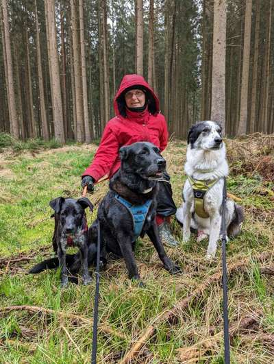 Jahresrückblick 2023....-Beitrag-Bild