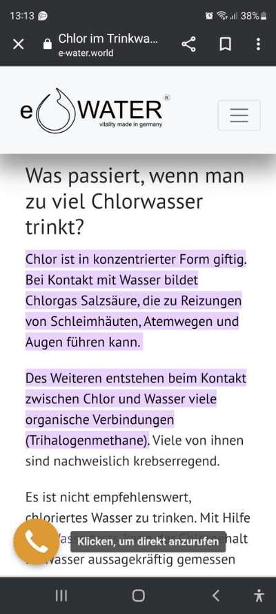 Hundefell desinfizieren-Beitrag-Bild