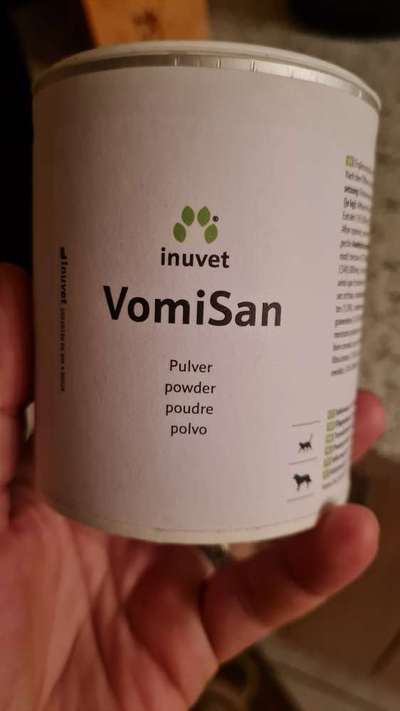 TierschutzhundeStammtisch🐕-Beitrag-Bild